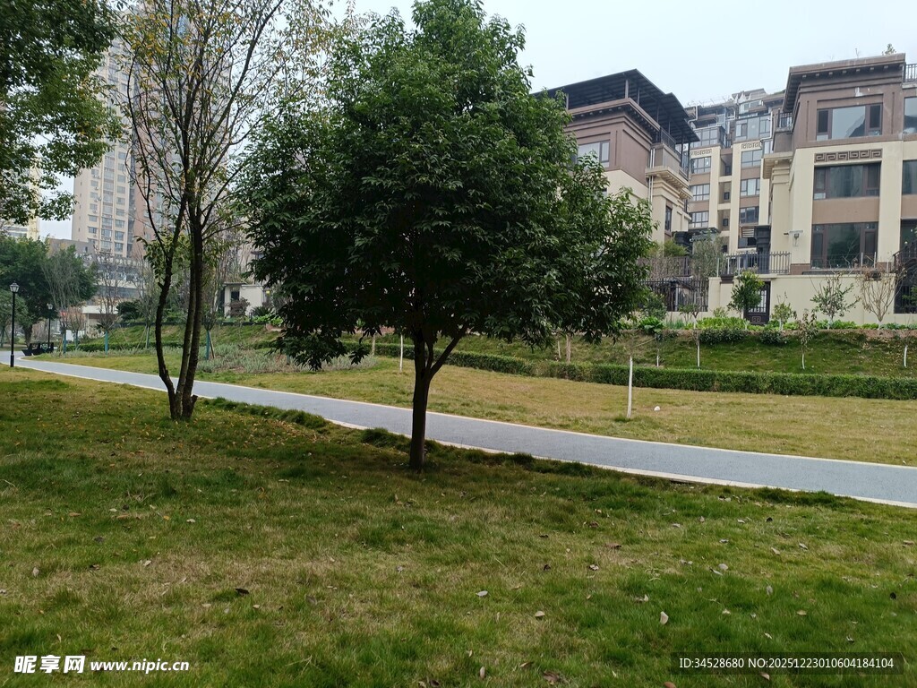 小区内的绿化景观小道