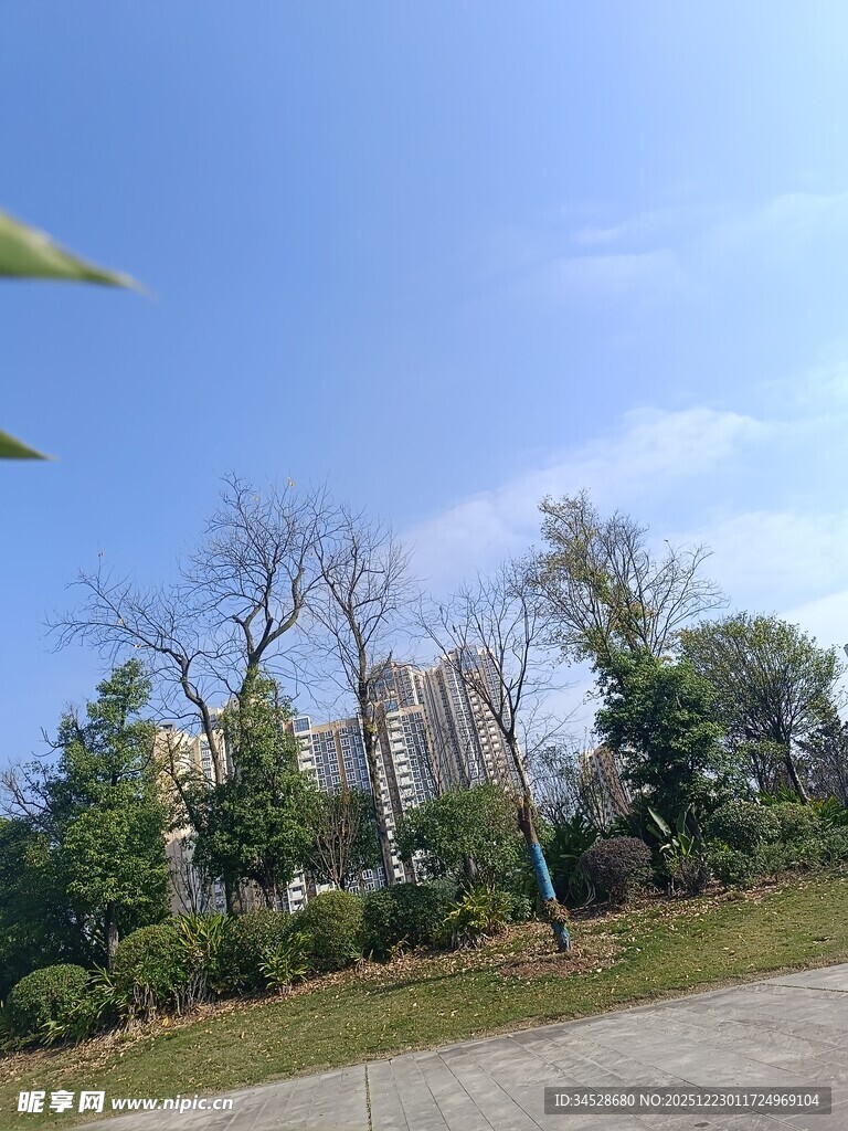 户外绿树蓝天建筑景致