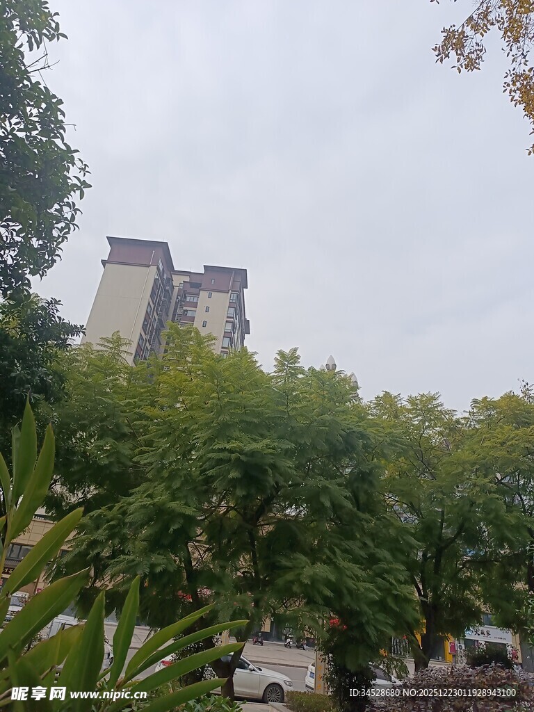 绿树掩映中的高楼景观