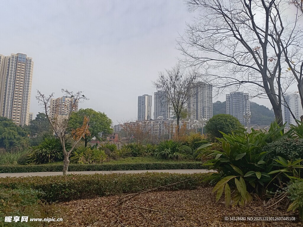 城市公园冬日景致