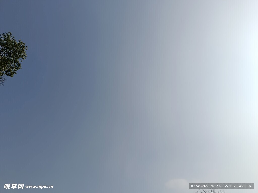 晴朗蓝天与树梢
