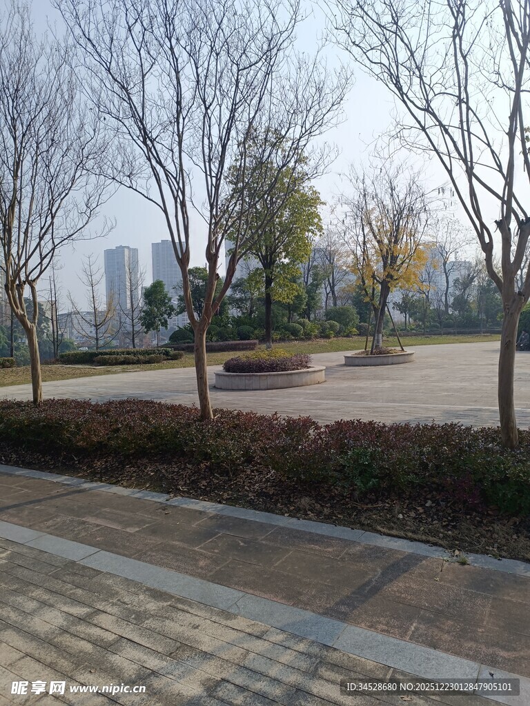 城市公园冬日空旷景致