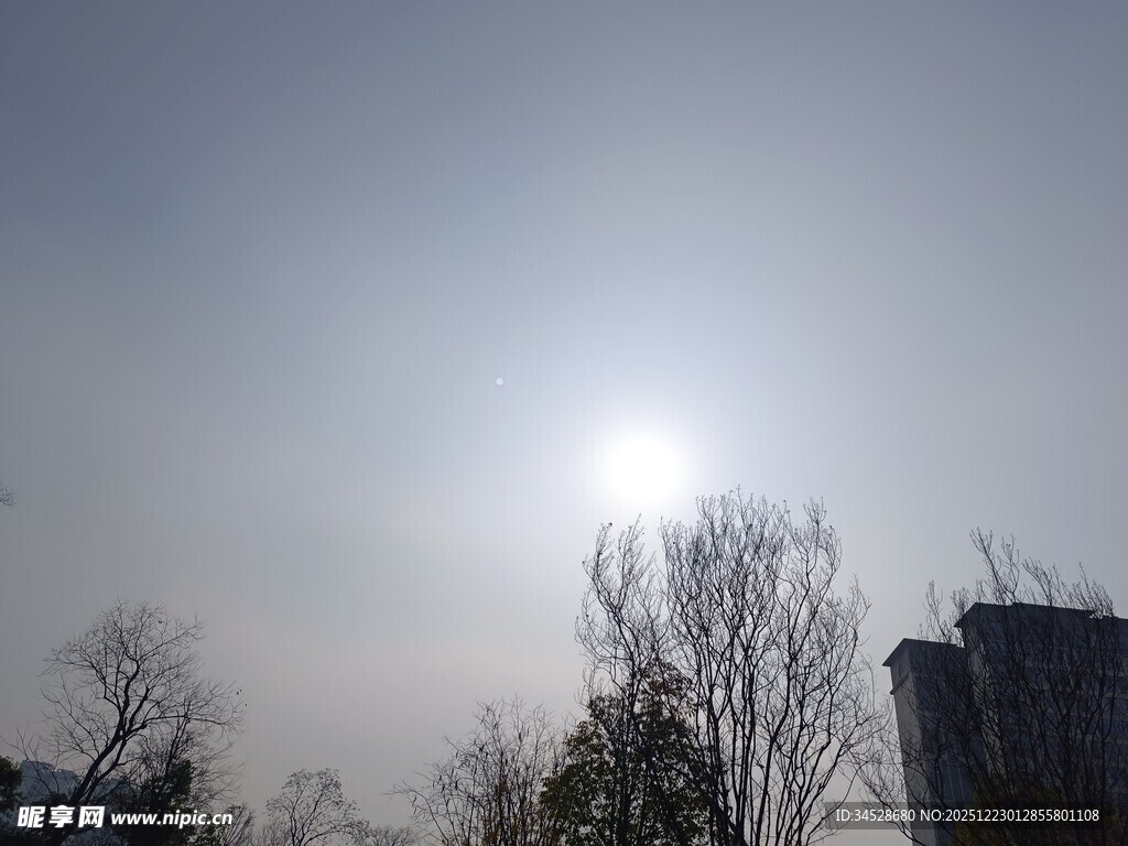 冬日暖阳下的树木与建筑