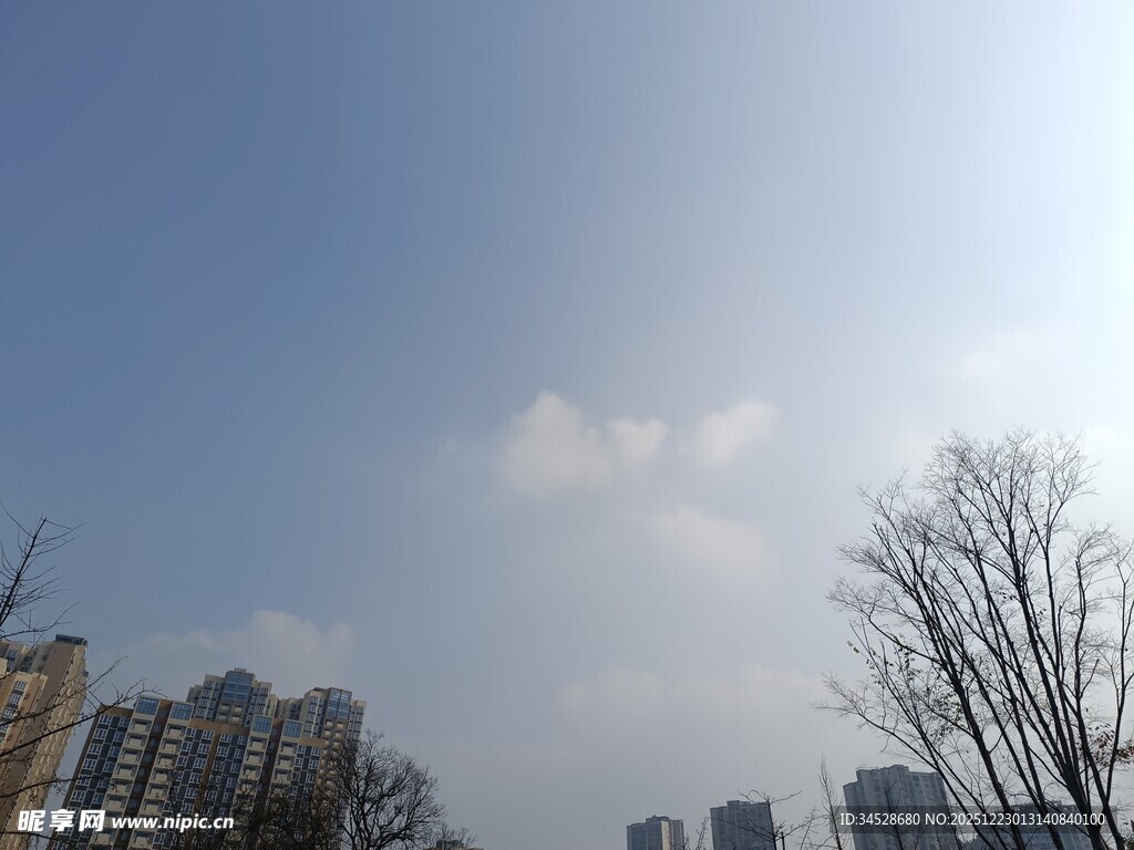 城市蓝天与光秃树木景观