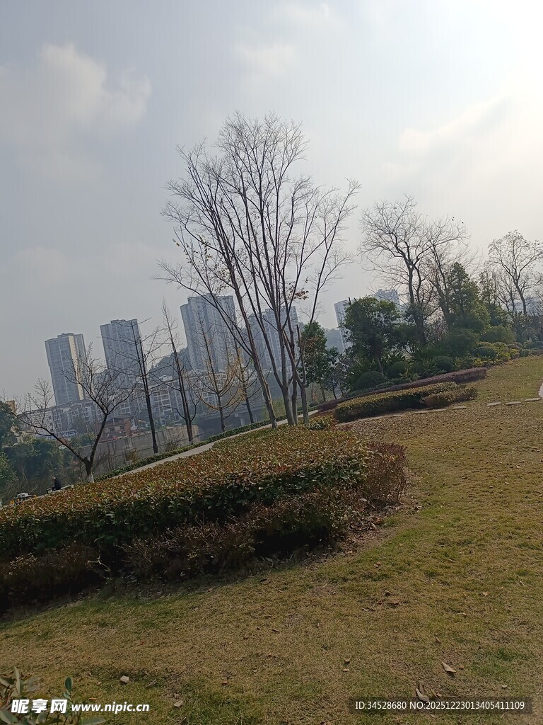 城市公园草地与远处高楼