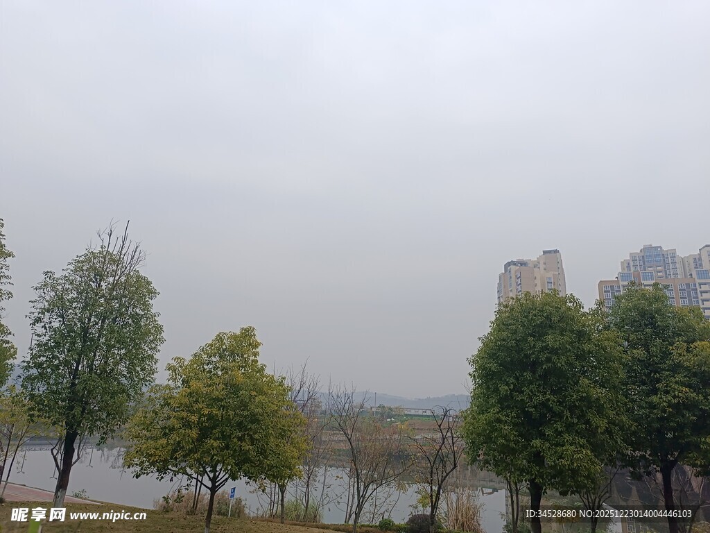 雾霭中的河畔树木景观