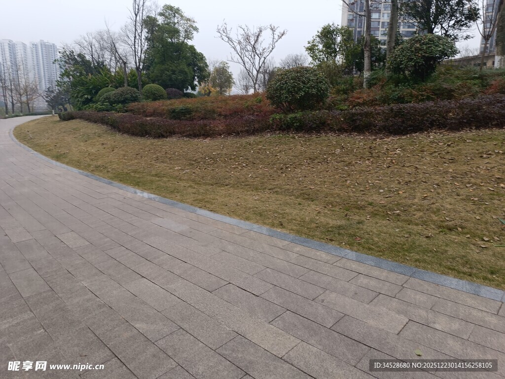 蜿蜒小路旁的绿植景观