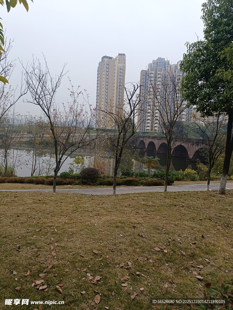 城市公园湖畔风景