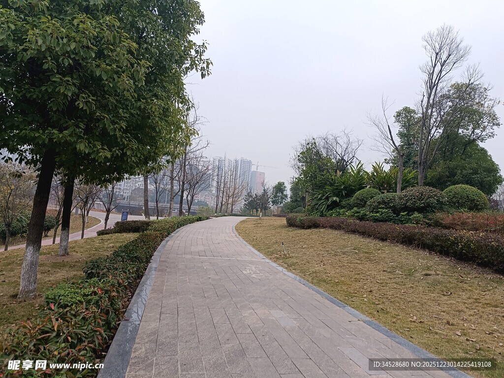 城市中的宁静林荫步道