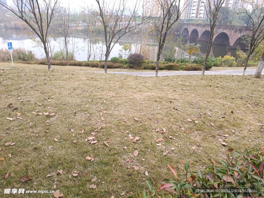 冬日公园草地景观