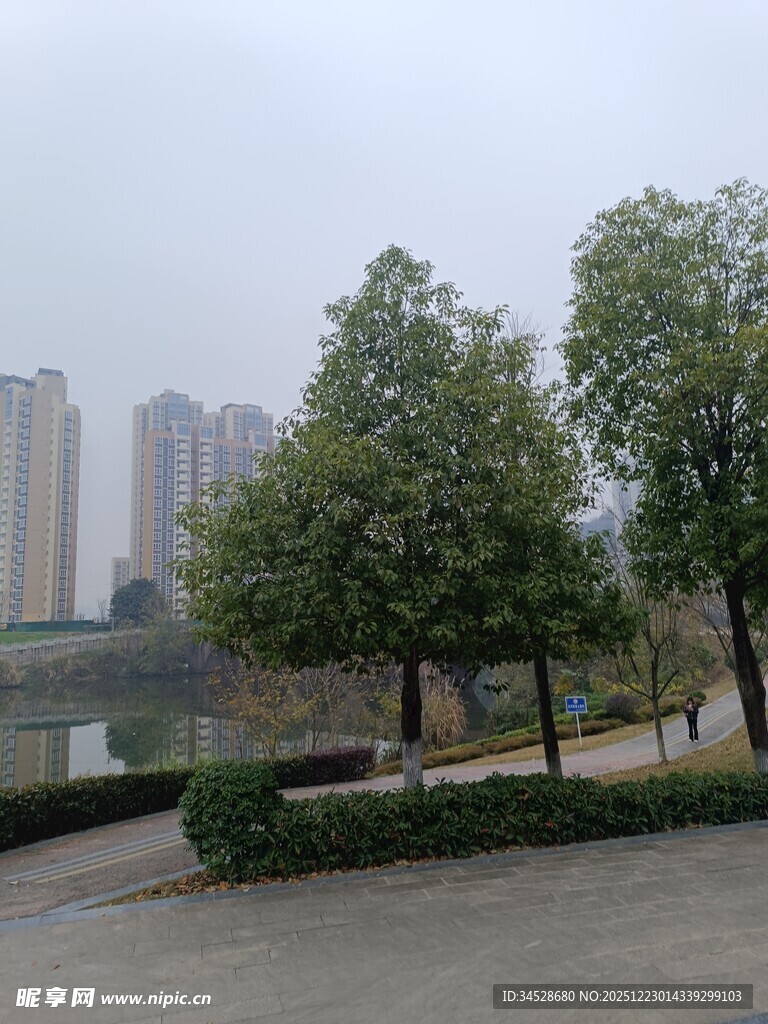 城市河畔绿树景观