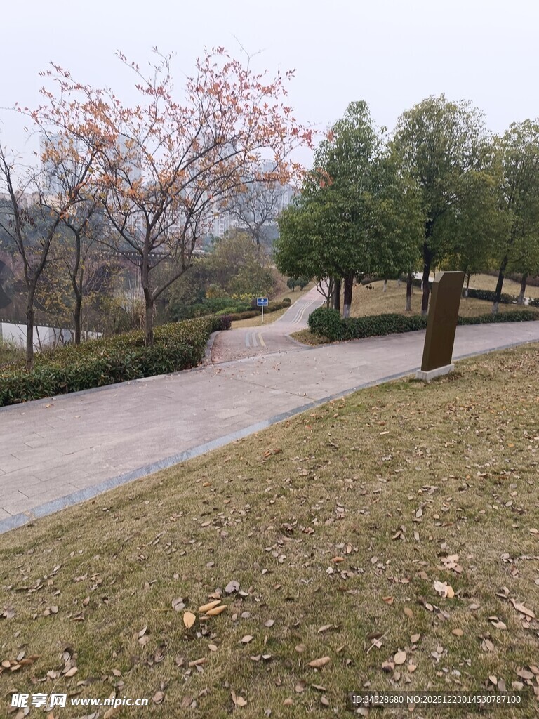 公园小径风景