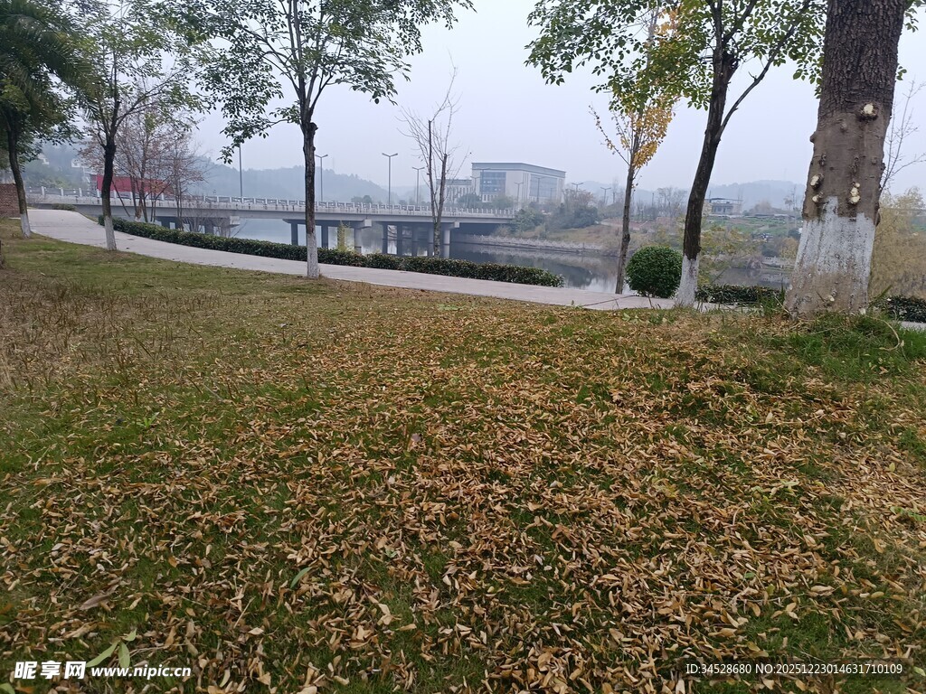 秋日公园落叶铺就的小径