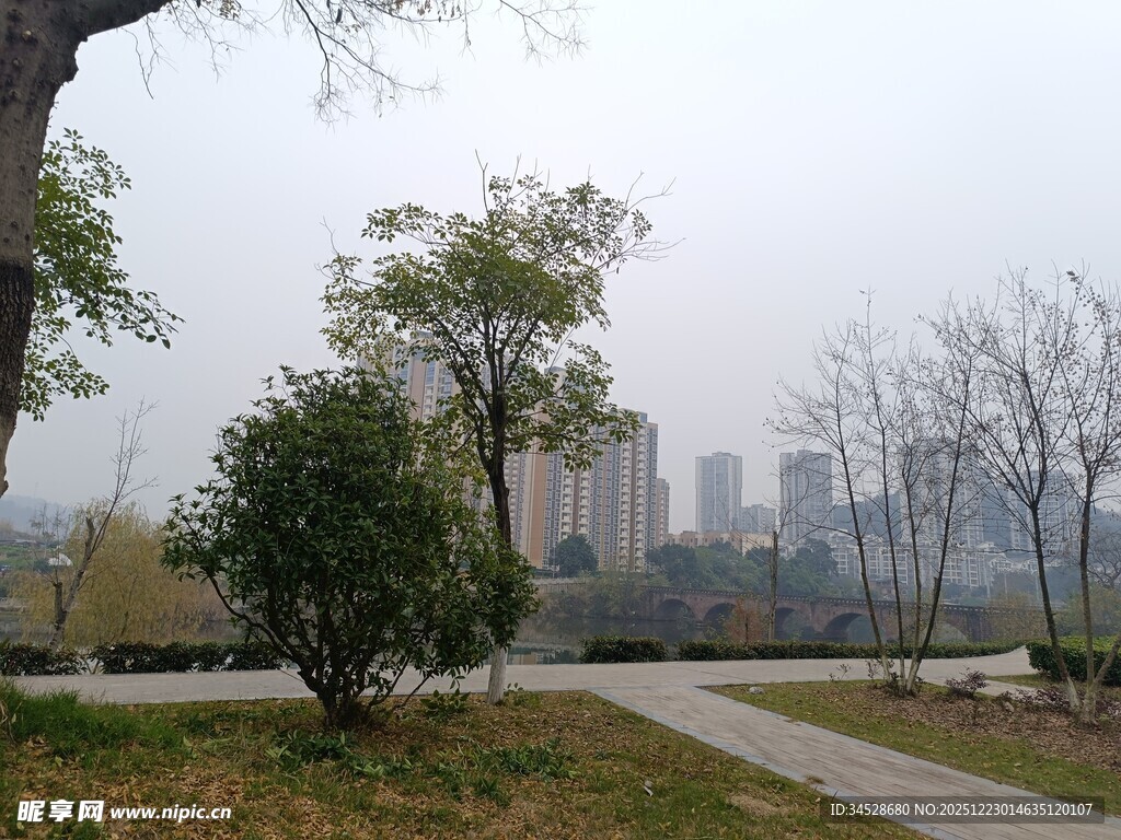 城市公园中的静谧景致