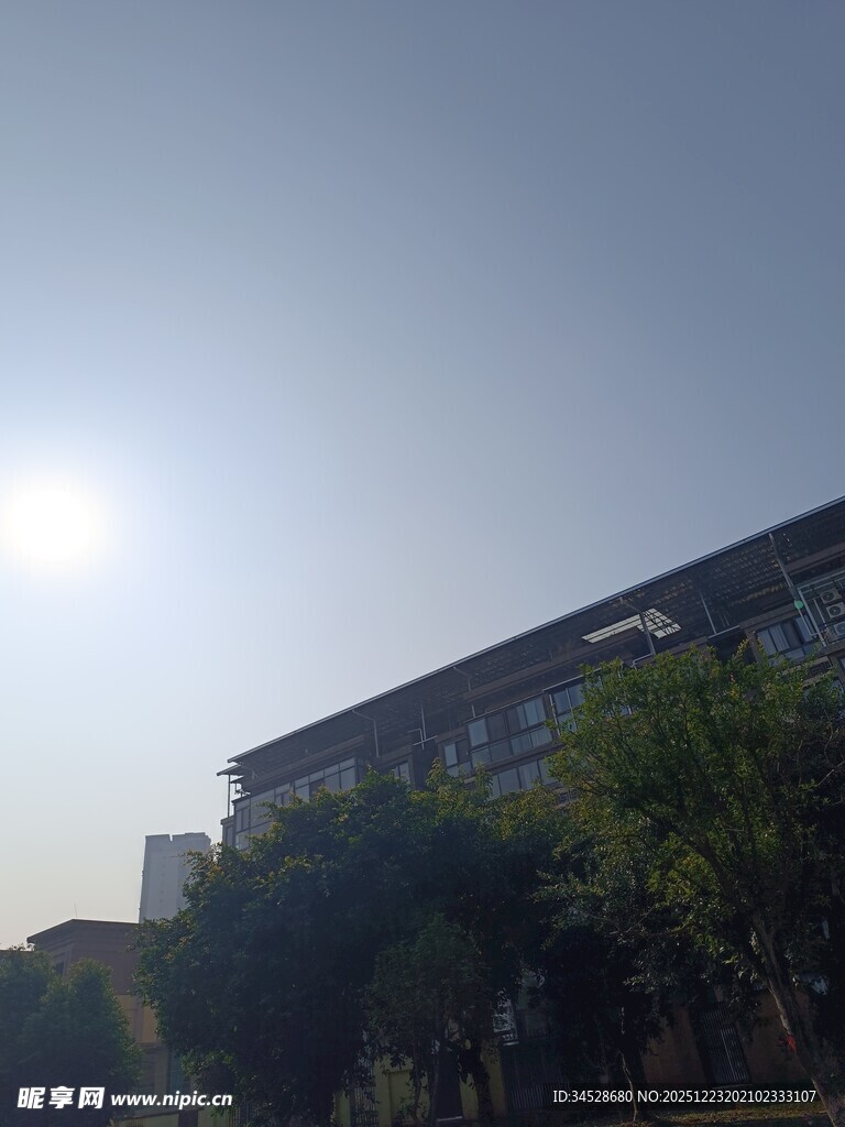 阳光下的建筑与绿植