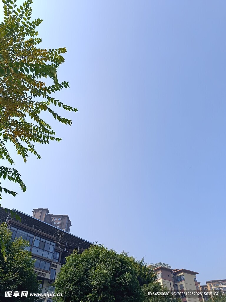 蓝天绿树旁的建筑景观