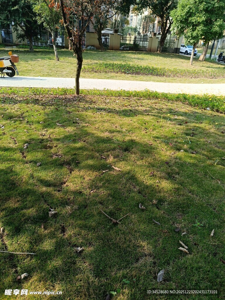 公园草地阳光斑驳景象