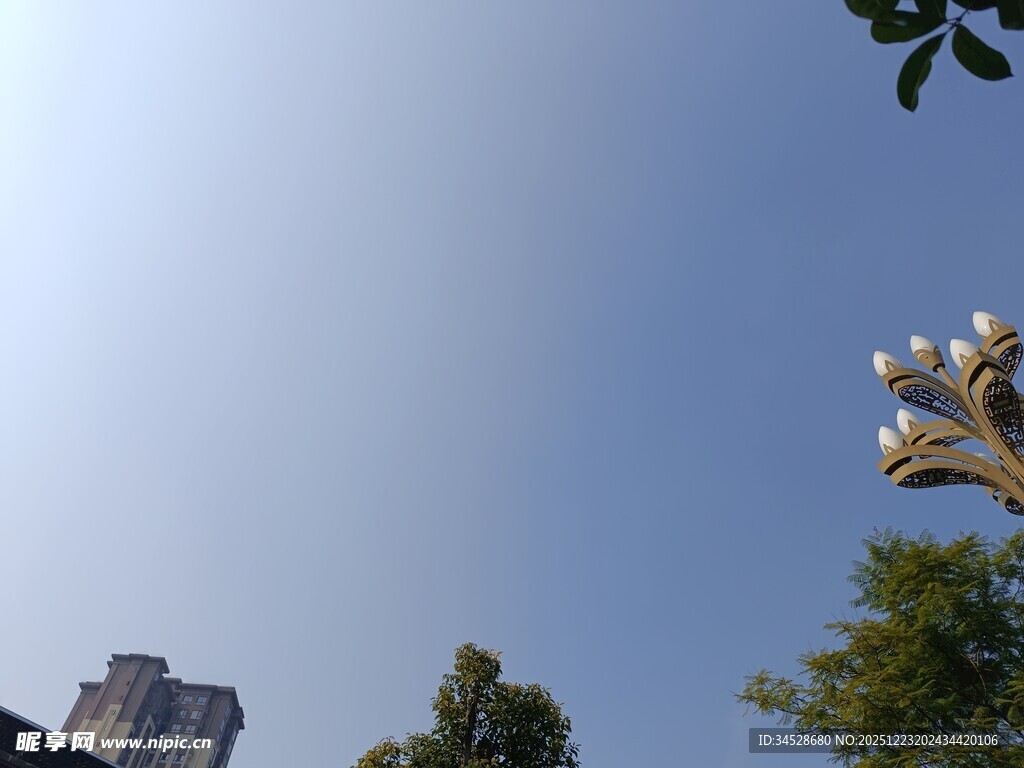 晴朗天空下的建筑与树木