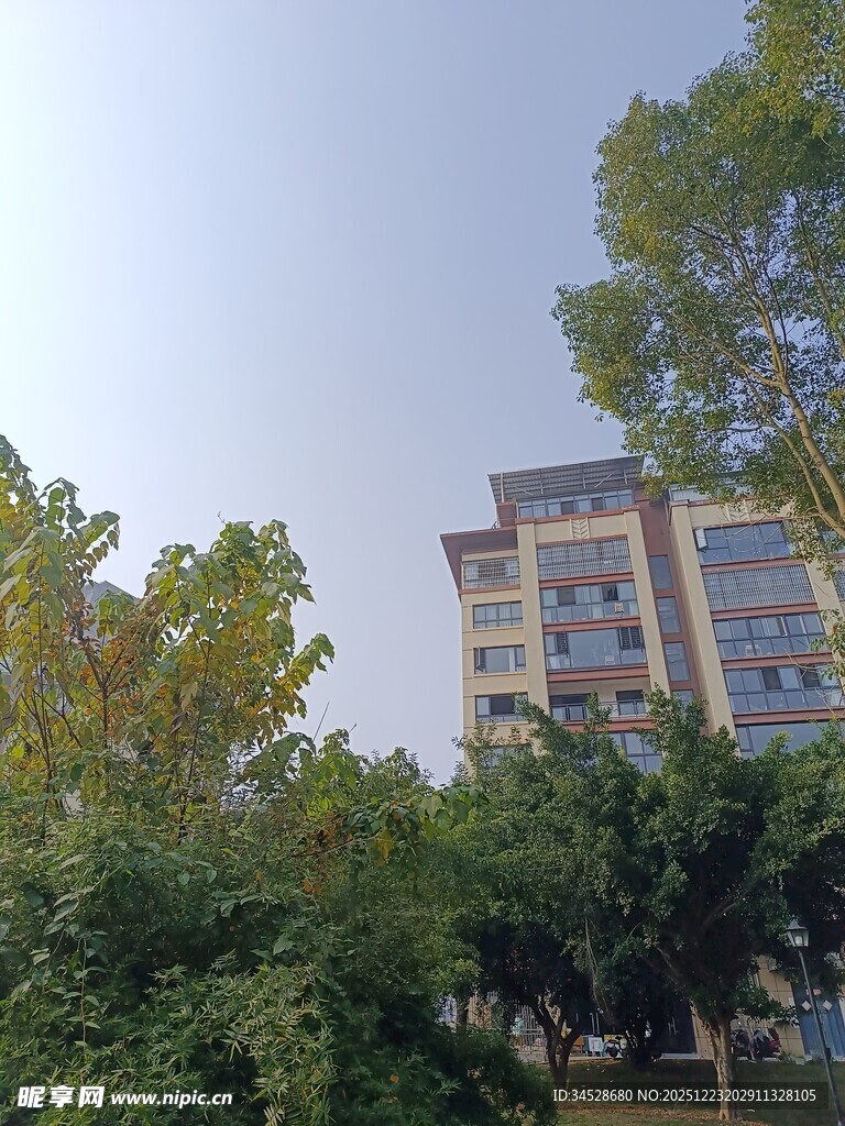 绿树环绕的多层建筑