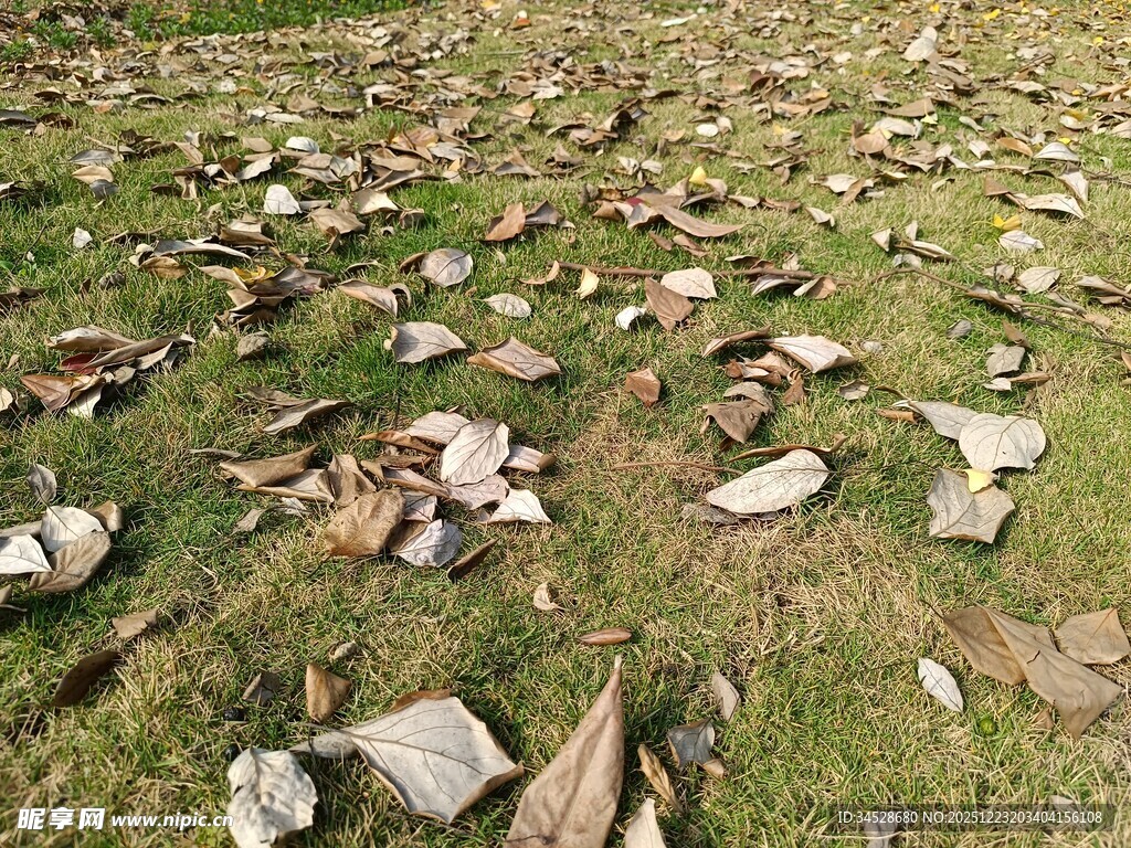 地面散落破碎陶瓷片