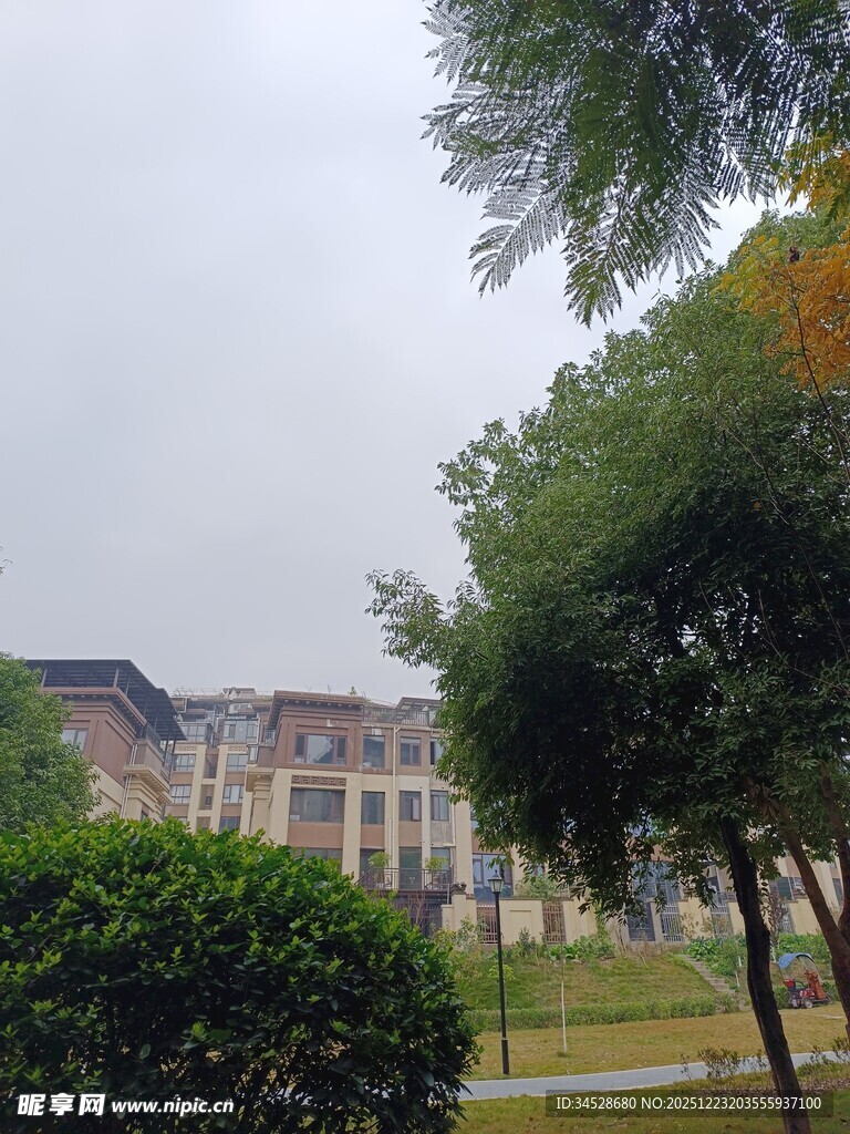 欧式建筑旁的绿树景观