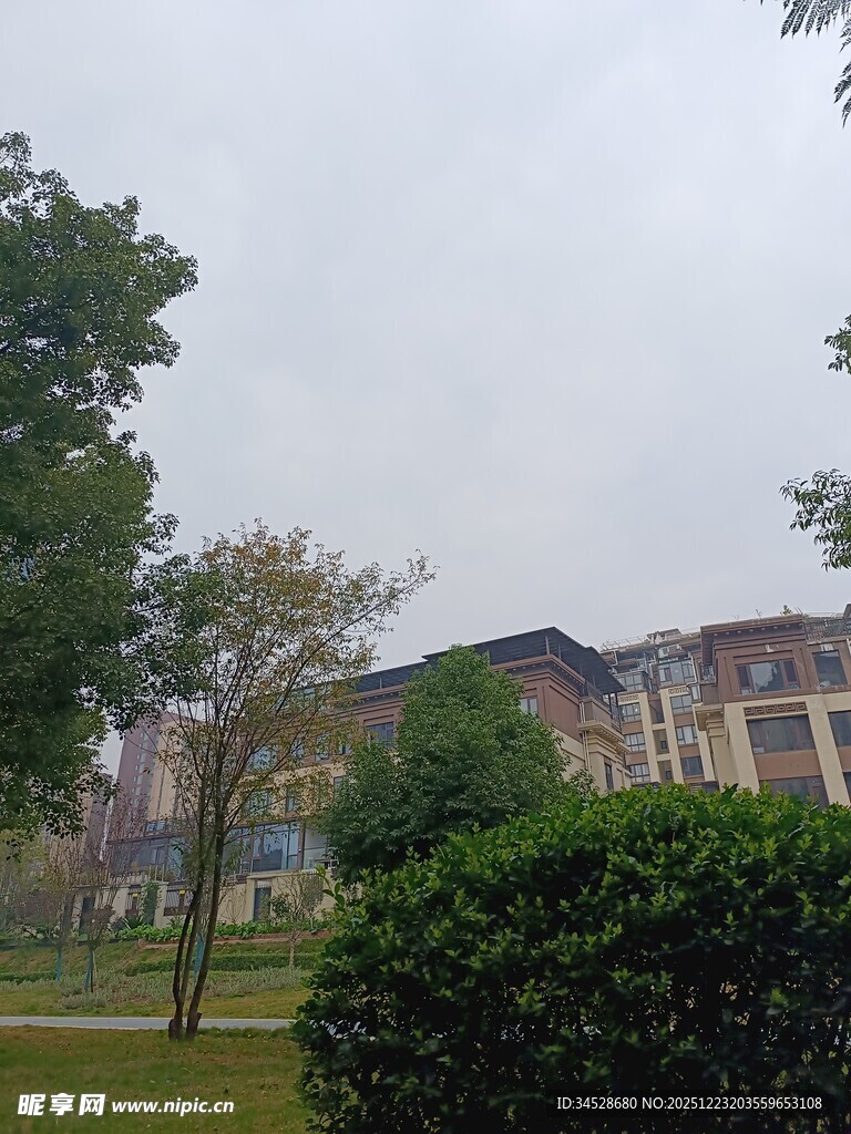 园林旁的建筑景观