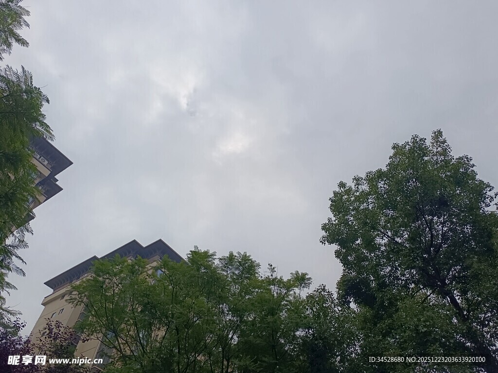 绿树掩映下的天空景象