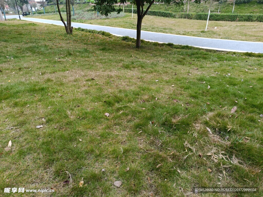 户外草地与道路景观