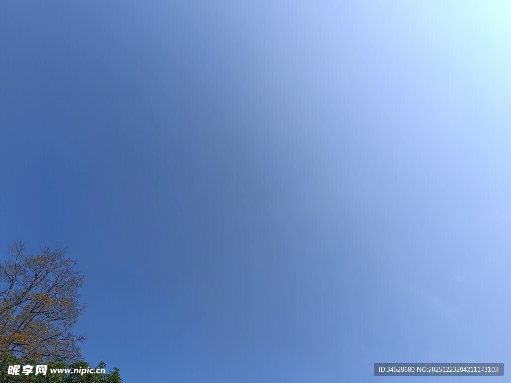 晴朗蓝天与树梢