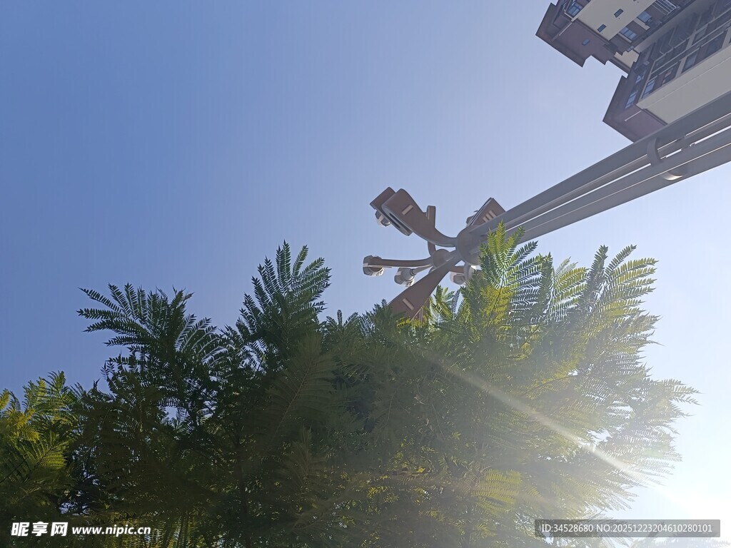 高空作业车修剪树木