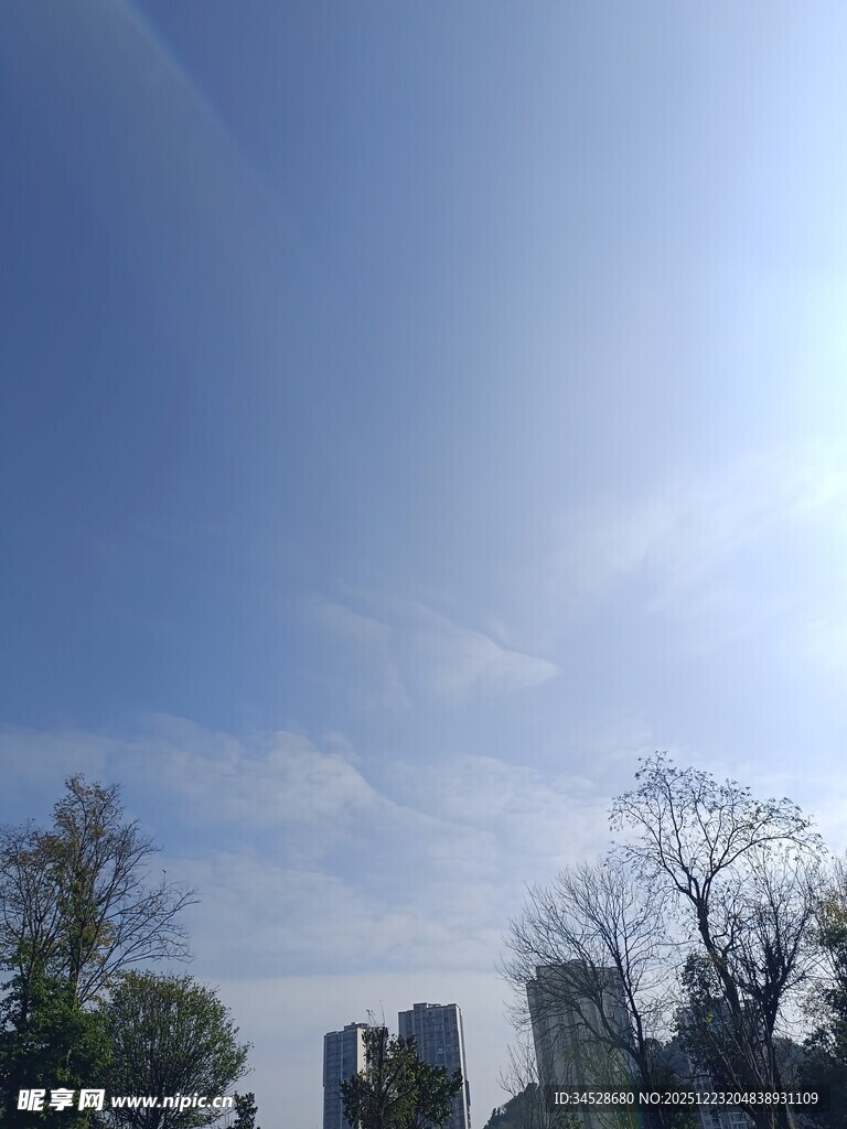 晴朗天空下的树木与建筑