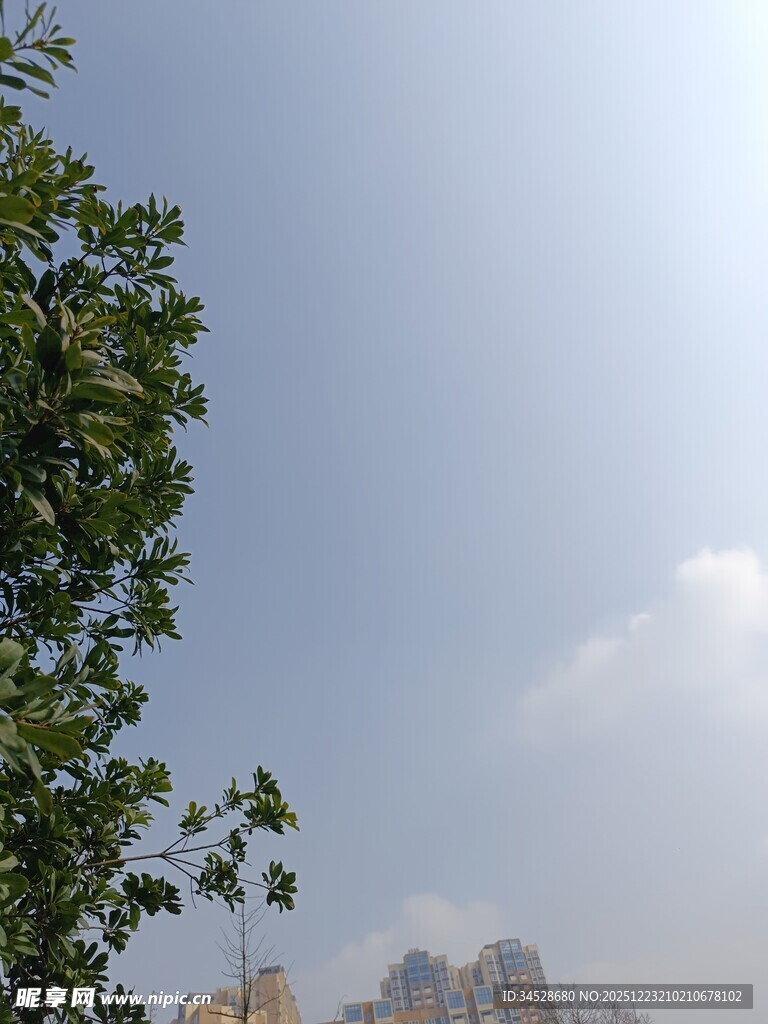 蓝天绿树旁的城市景象