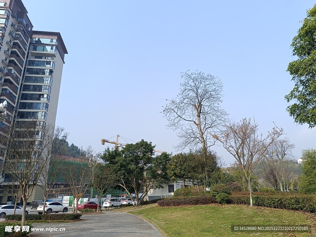 城市公园旁的高楼景致