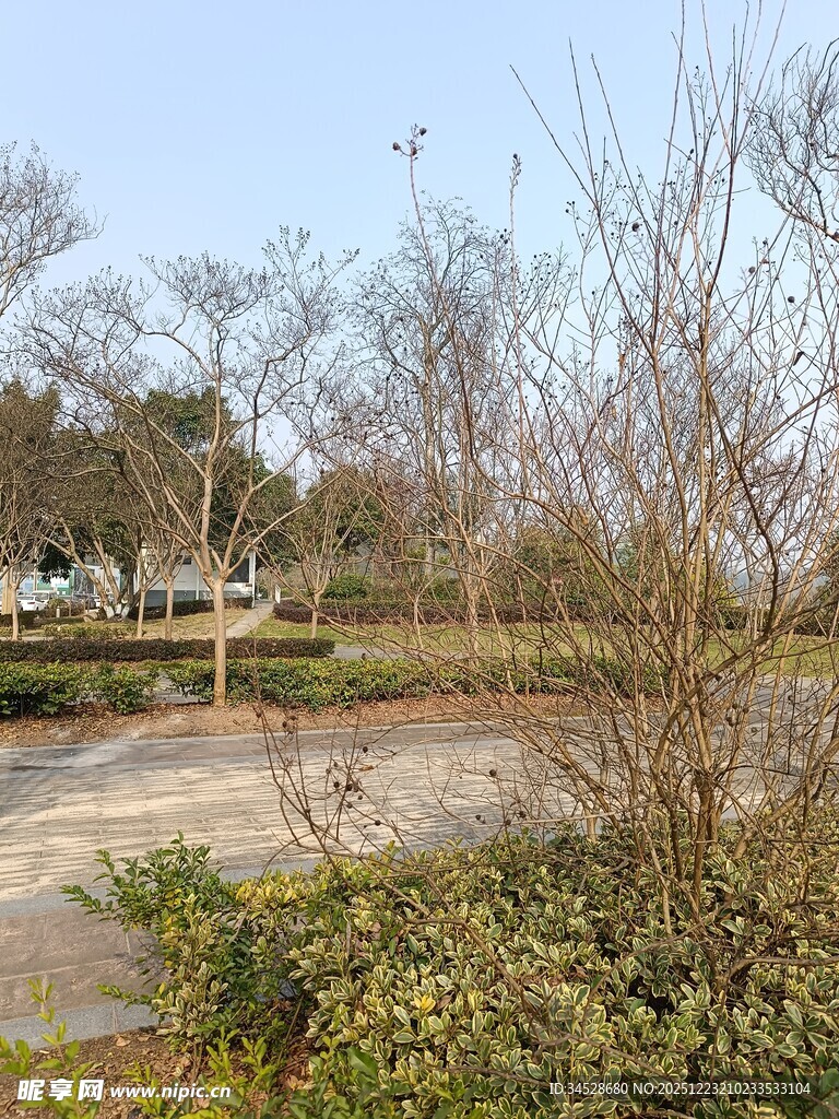 冬日郊野空旷景致