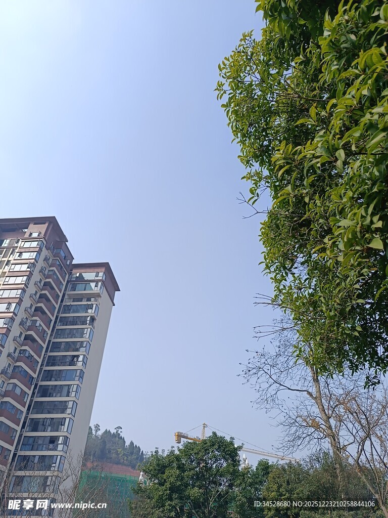 高楼旁绿树蓝天景象