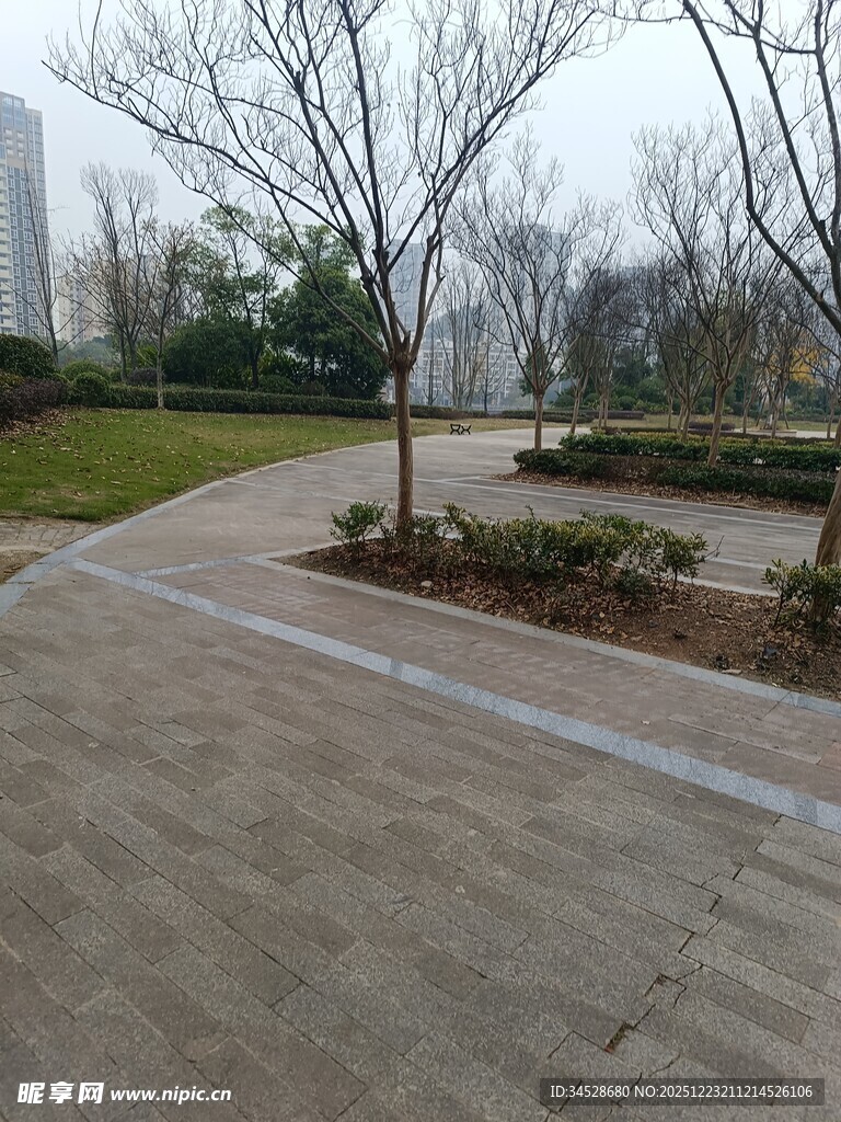 城市公园中的空旷步道