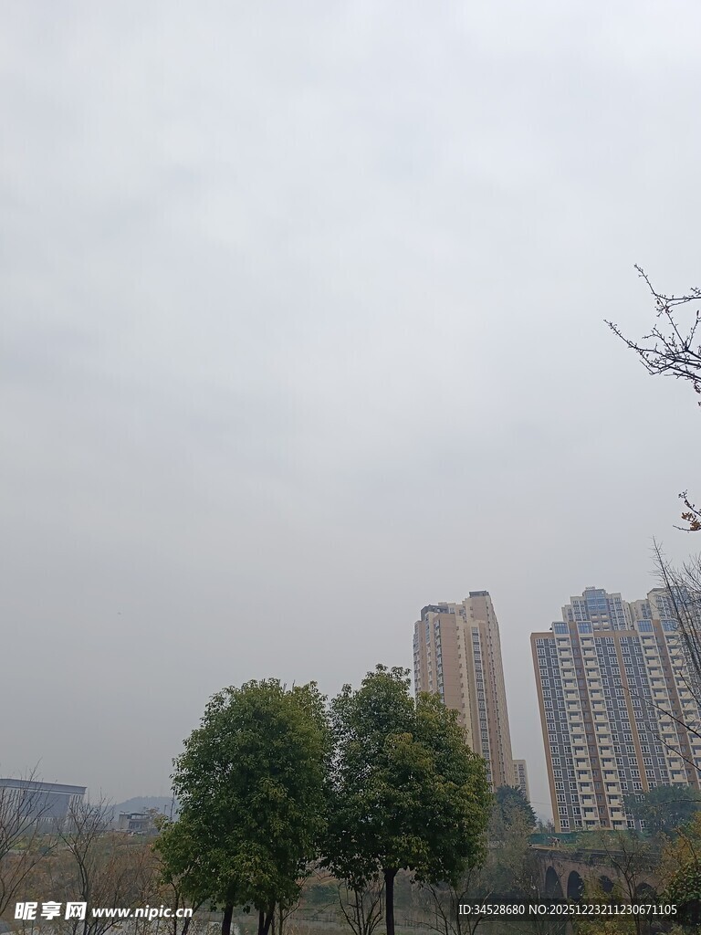 城市远景中的树木与高楼