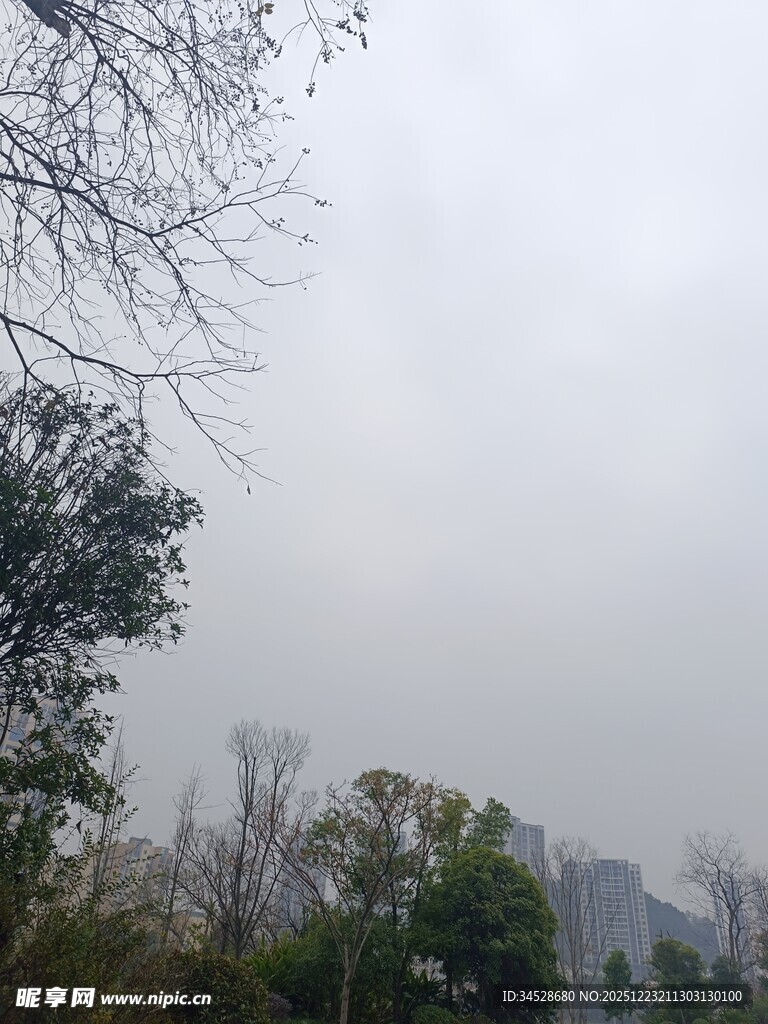 雾中树林与远处建筑景观