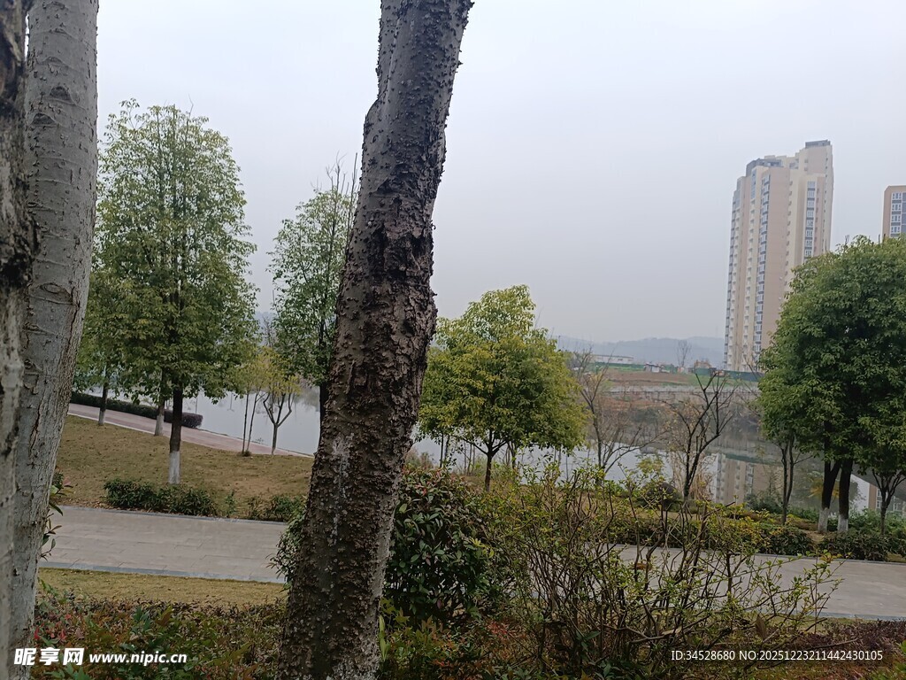 城市公园中的自然景致