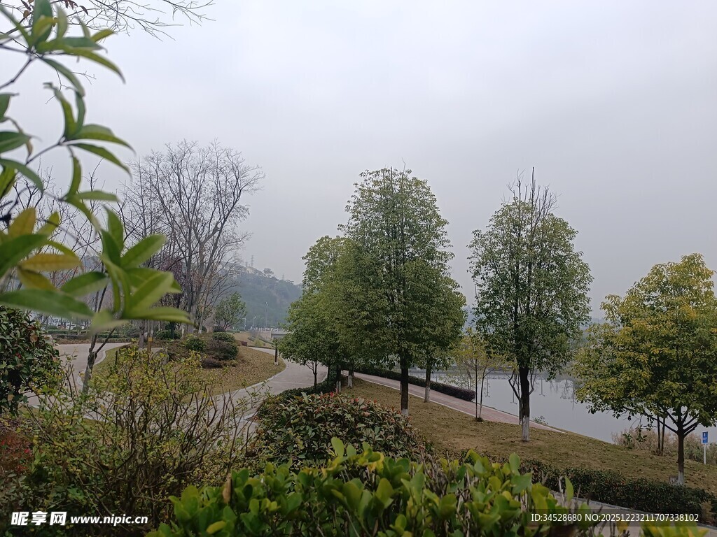 雾中湖畔园林景致