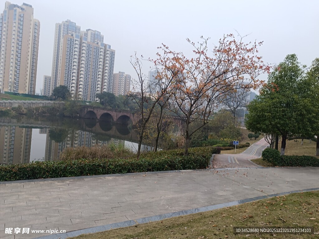 城市河畔公园景致