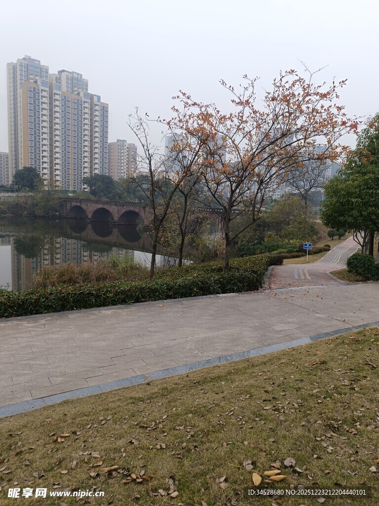 城市湖畔公园景致