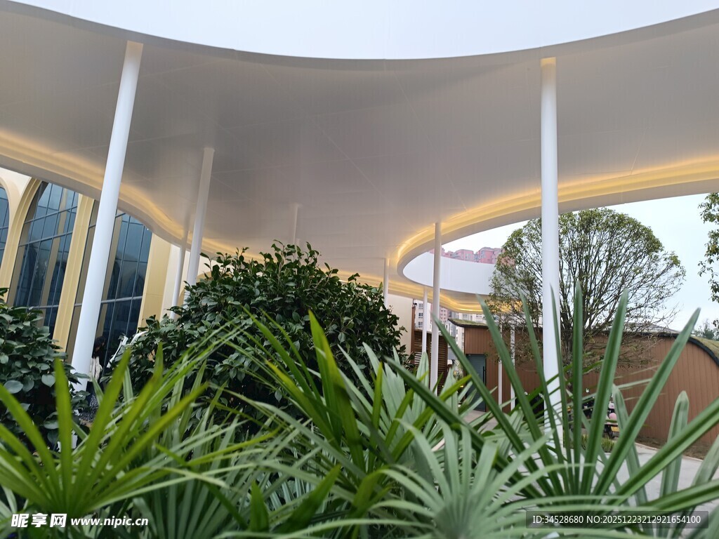 室内绿植装点的现代空间