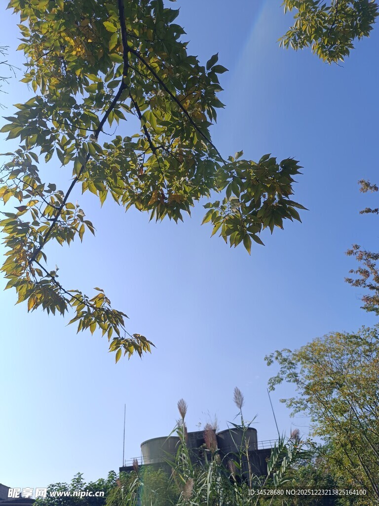 蓝天绿树间的建筑景致