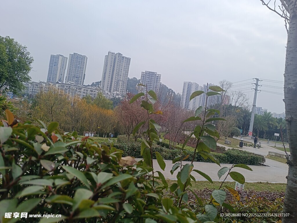 城市公园中的多彩植物景观