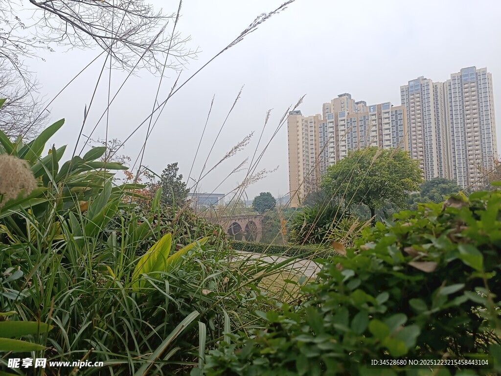 城市绿植旁的高楼景观