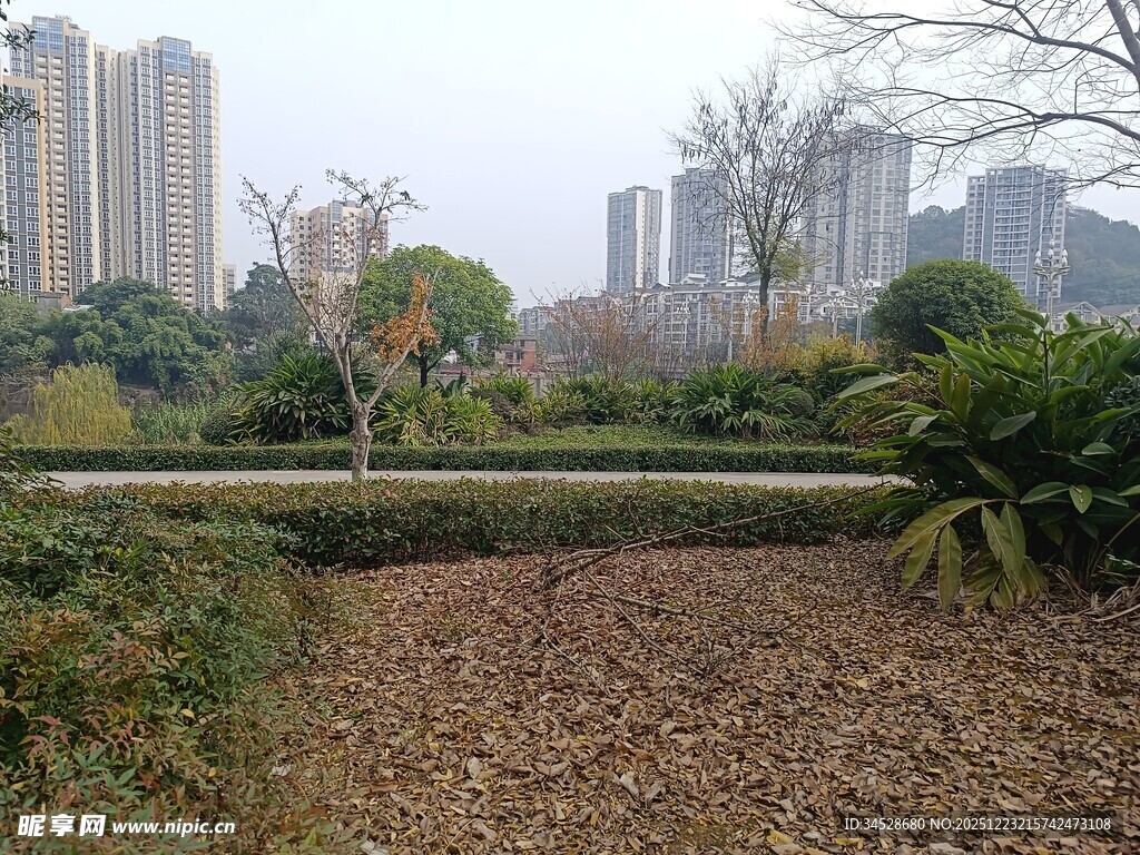 城市公园冬日景观一角