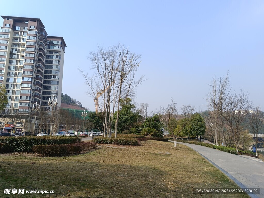 城市公园旁的高楼景观