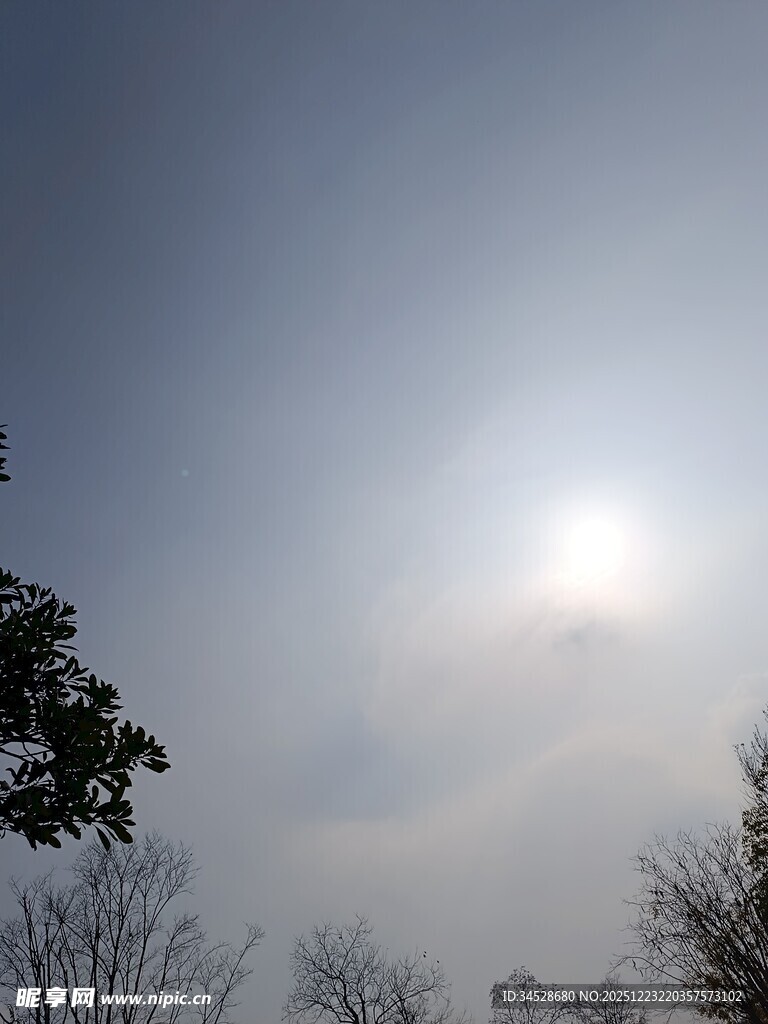 冬日暖阳下的朦胧景象