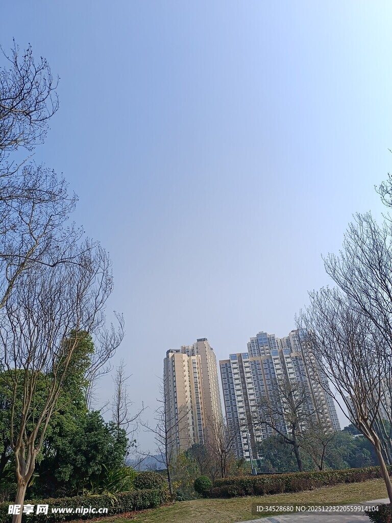 城市公园与远处高楼景观
